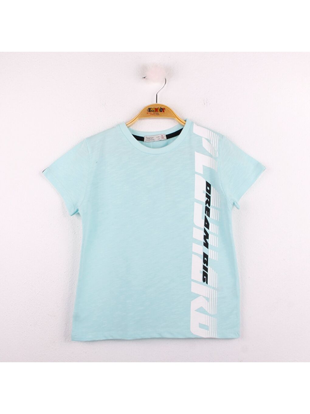 Turkuaz Erkek Çocuk Playhard Baskılı Tişört