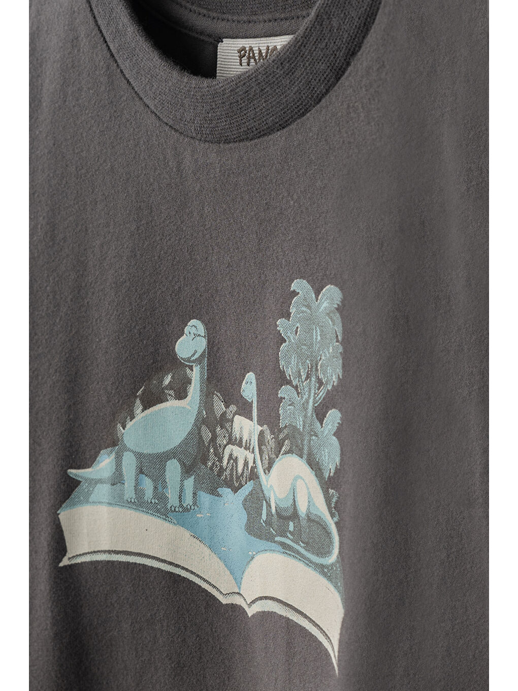 Erkek Çocuk Dinozor Baskılı T-Shirt Antrasit-1