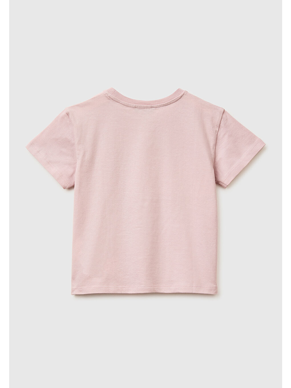 Pembe Kız Çocuk Gül Kurusu Su Bazlı Baskılı İşlemeli Bisiklet Yaka T-Shirt-1