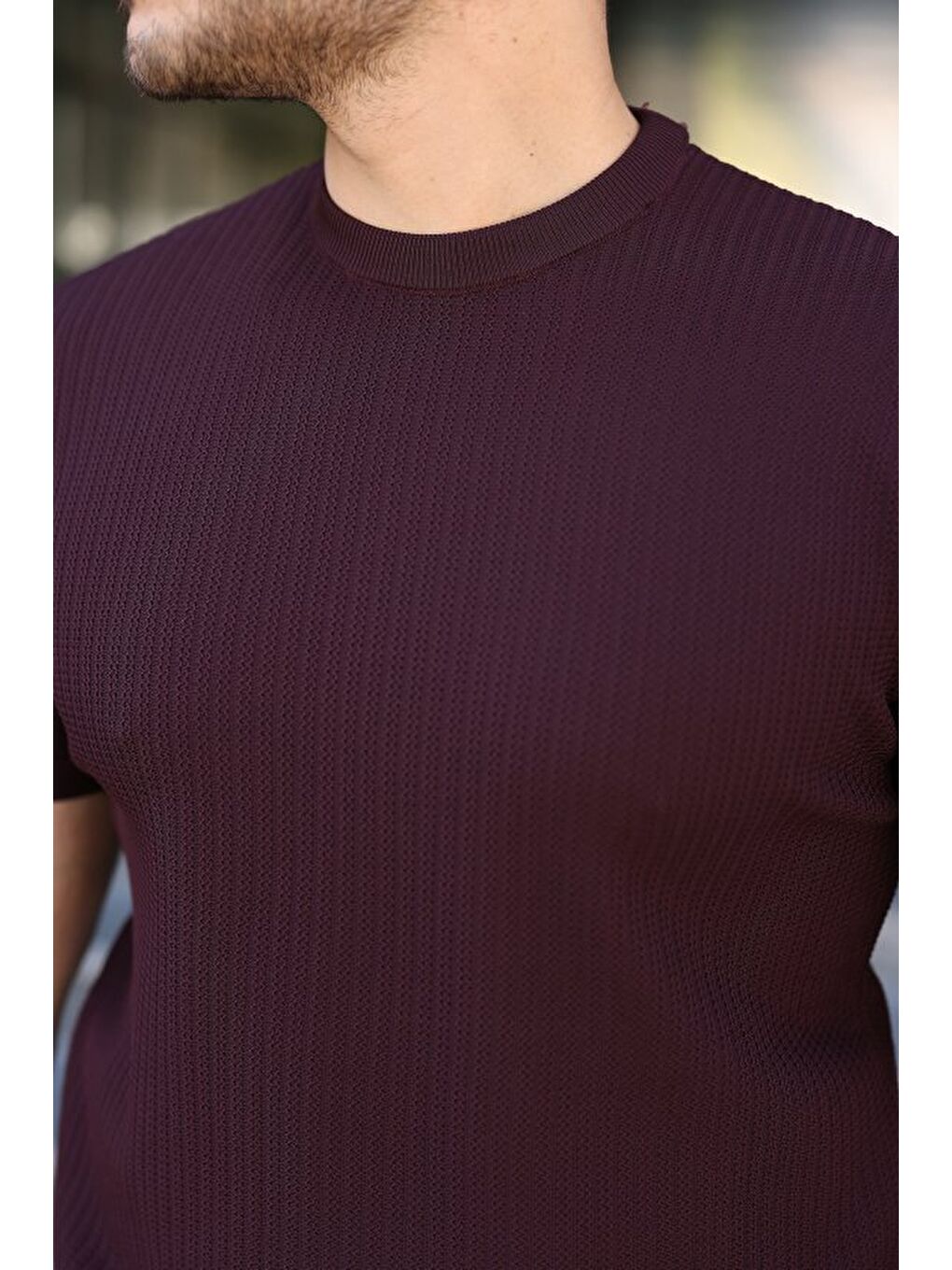 Mürdüm Erkek Bisiklet Yaka Petek Dokulu Kısa Kollu Triko Tişört-2