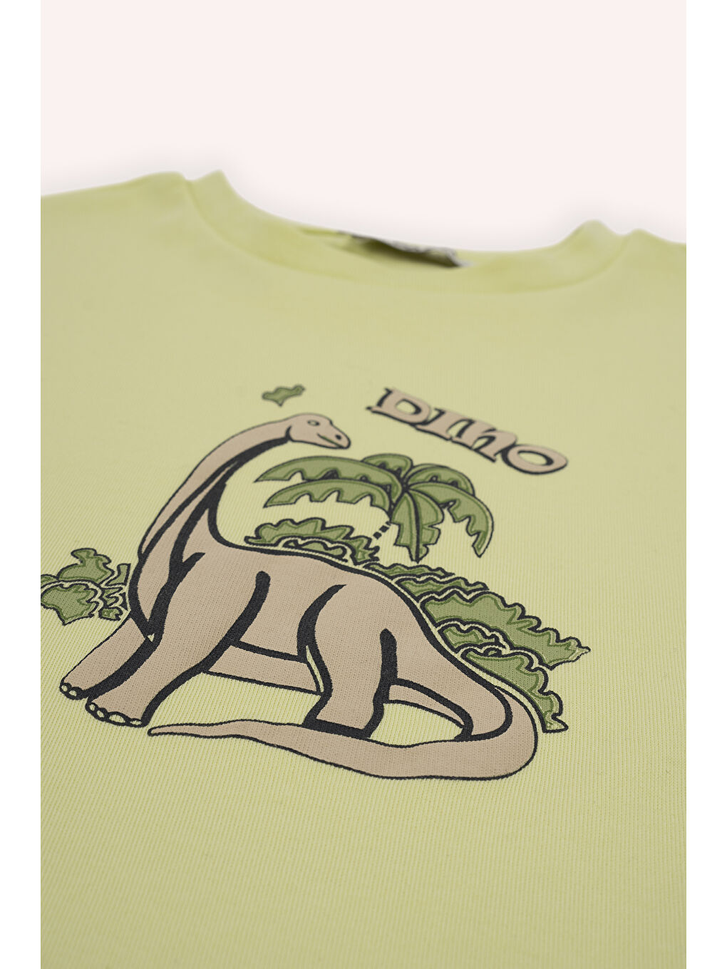 Yeşil Erkek Çocuk Dinozor Baskılı Pijama Takımı-2