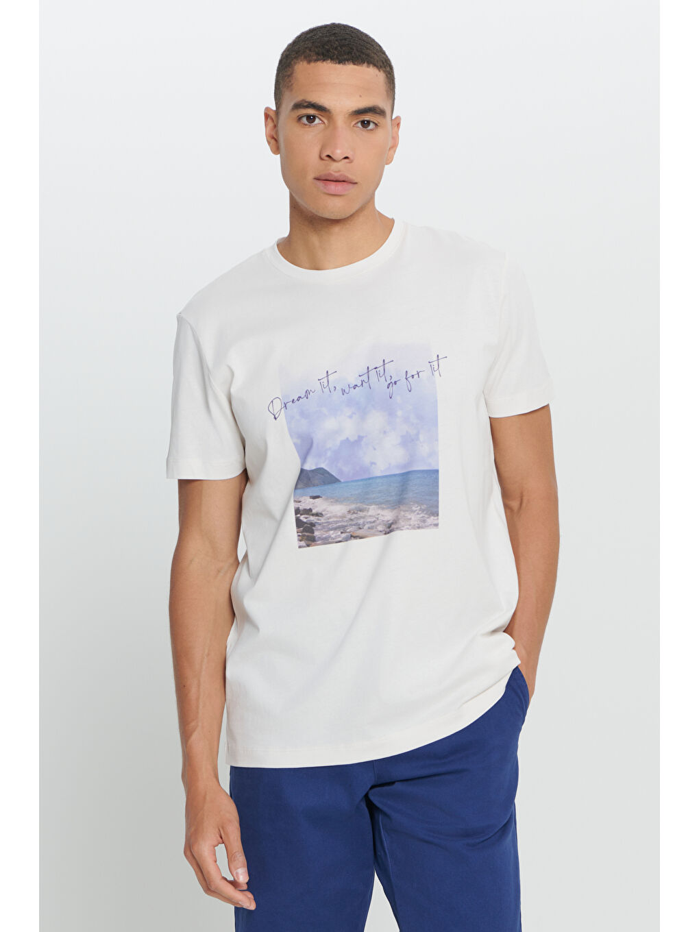 Erkek Açık Gri Standart Fit Normal Kesim %100 Pamuk Baskılı Bisiklet Yaka Tişört-2