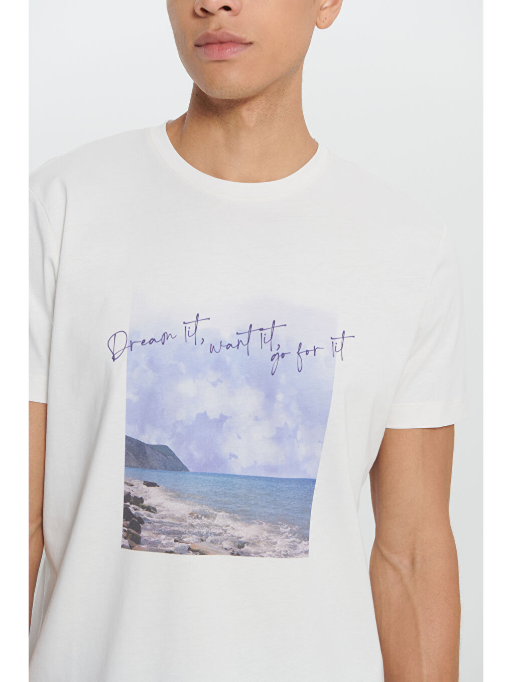 Erkek Açık Gri Standart Fit Normal Kesim %100 Pamuk Baskılı Bisiklet Yaka Tişört-4