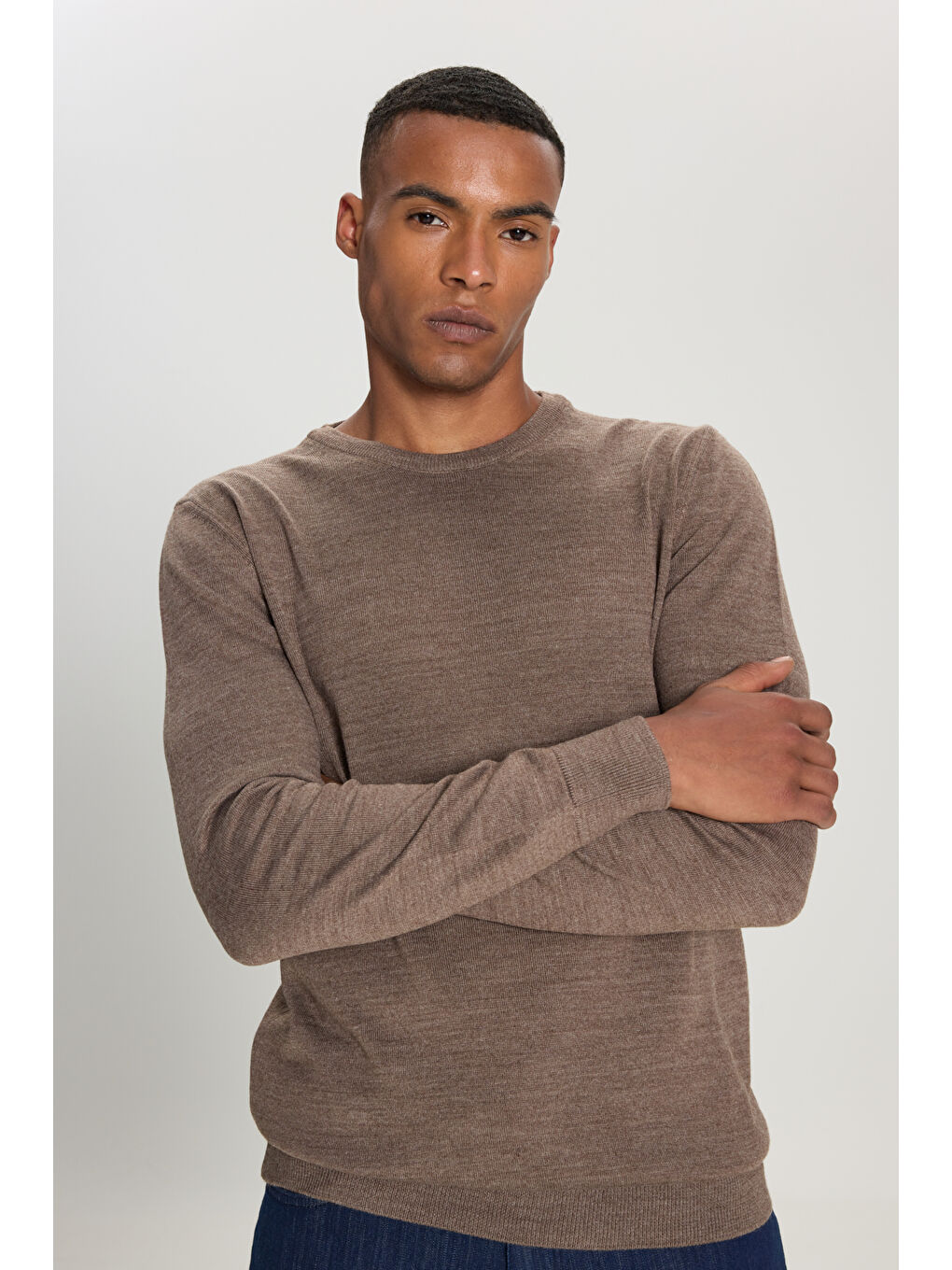 Bej Erkek Vizon Standart Fit Normal Kesim Bisiklet Yaka Triko Kazak-3