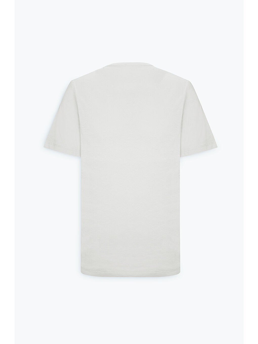 Erkek Açık Gri Standart Fit Normal Kesim %100 Pamuk Baskılı Bisiklet Yaka Tişört-9