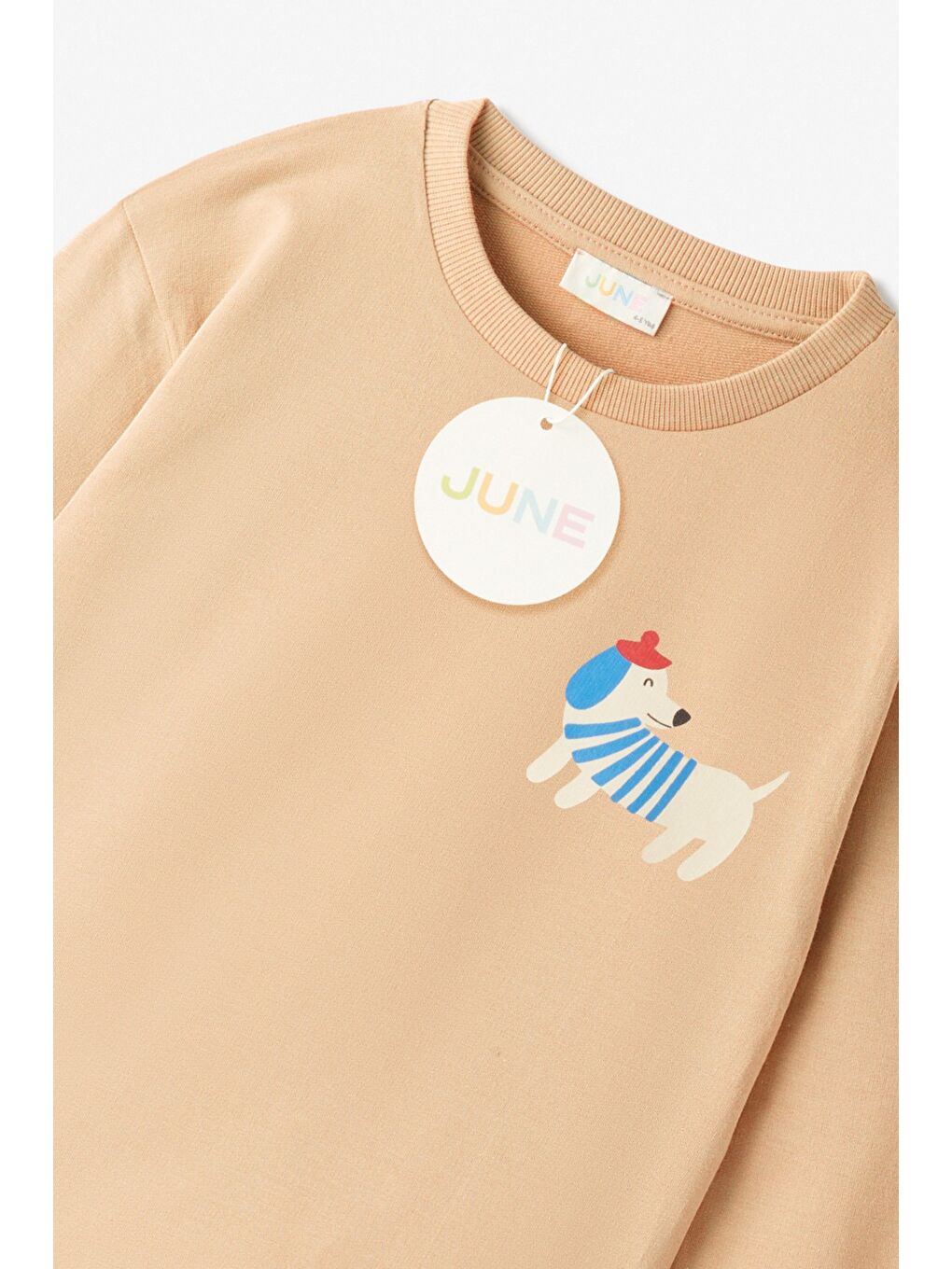 Kahverengi Erkek Çocuk Baskılı Eşofman Takımı-2