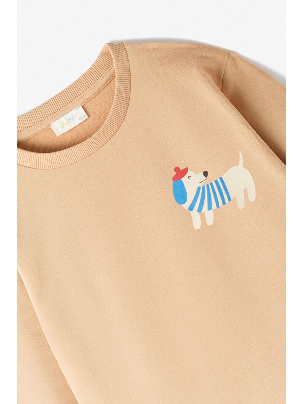 Kahverengi Erkek Çocuk Baskılı Eşofman Takımı-3