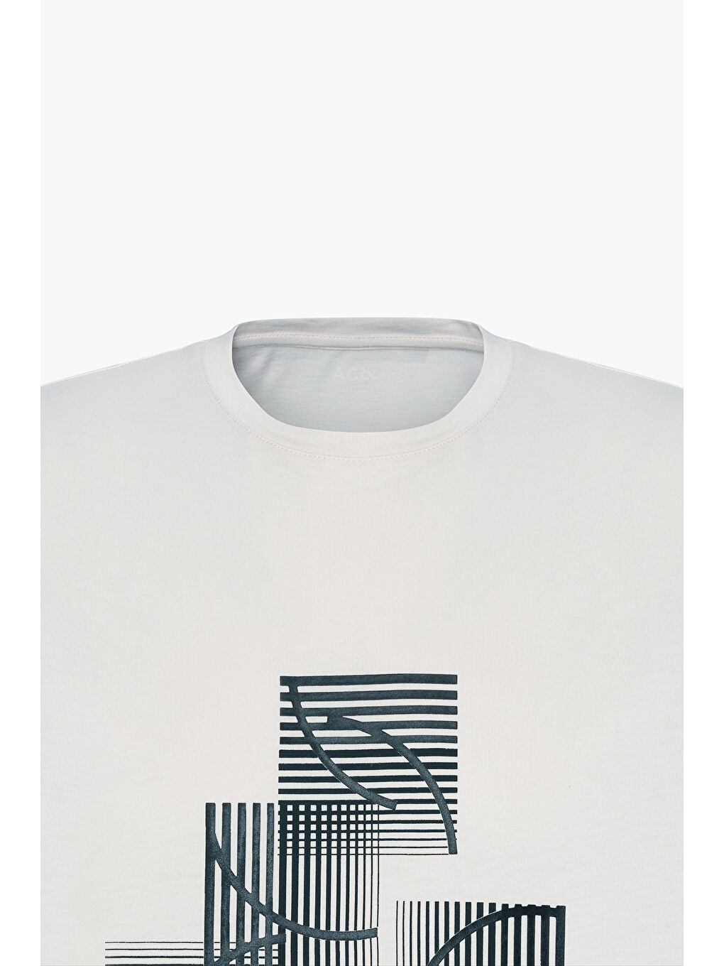 Erkek Açık Gri Standart Fit Normal Kesim %100 Pamuk Baskılı Bisiklet Yaka Tişört-6