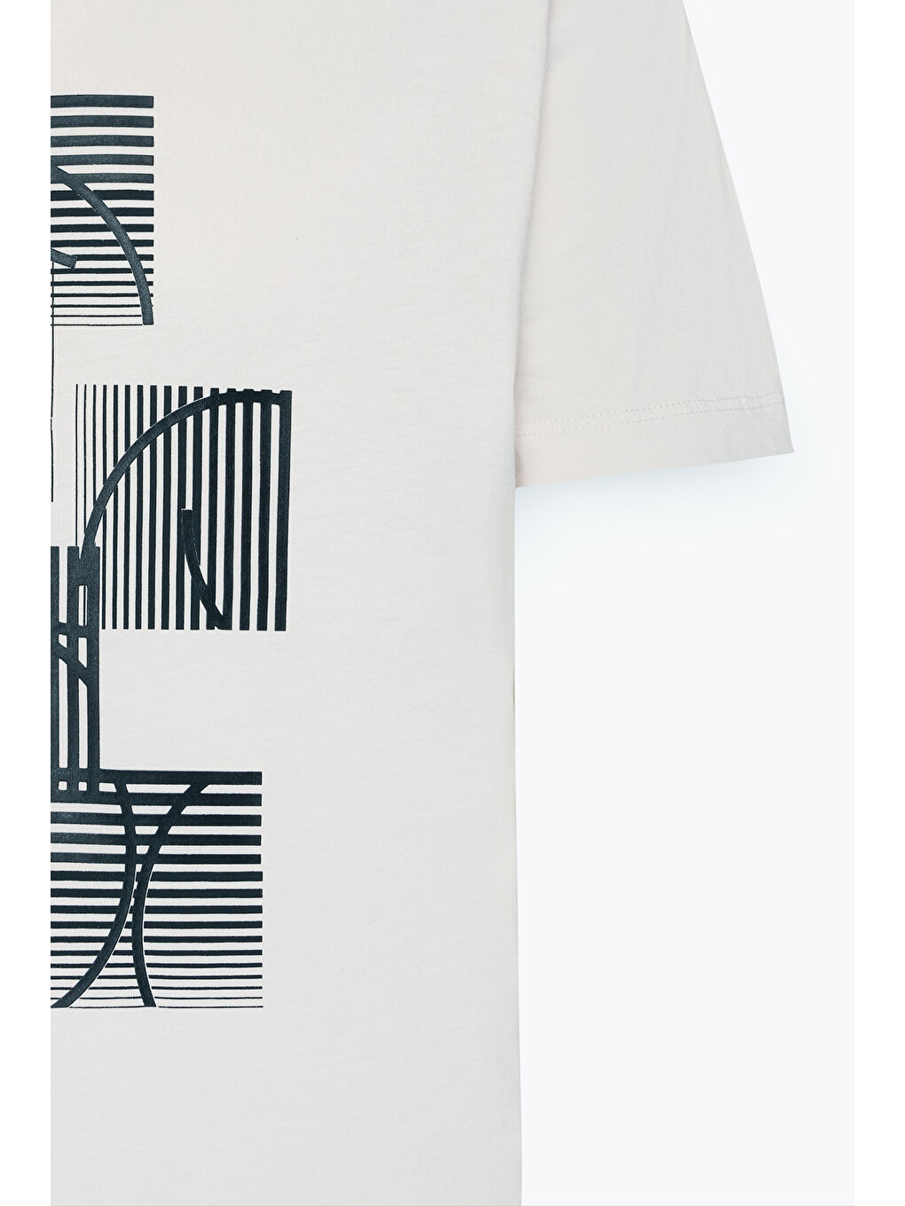 Erkek Açık Gri Standart Fit Normal Kesim %100 Pamuk Baskılı Bisiklet Yaka Tişört-7