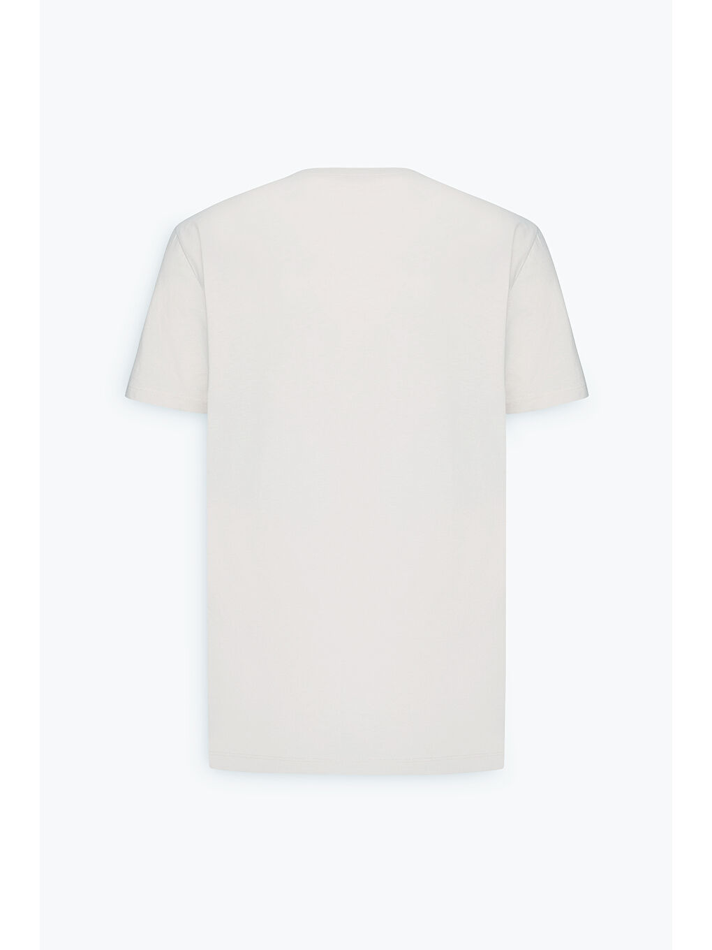 Erkek Açık Gri Standart Fit Normal Kesim %100 Pamuk Baskılı Bisiklet Yaka Tişört-8