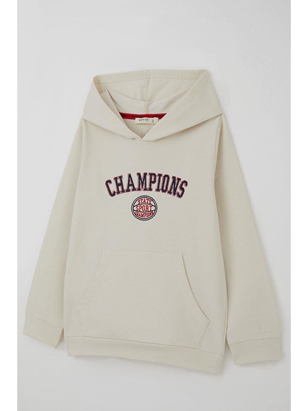 Bej Erkek Çocuk Sweatshirt Yazı Baskılı Kapüşonlu Taş (4-8 Yaş)-4