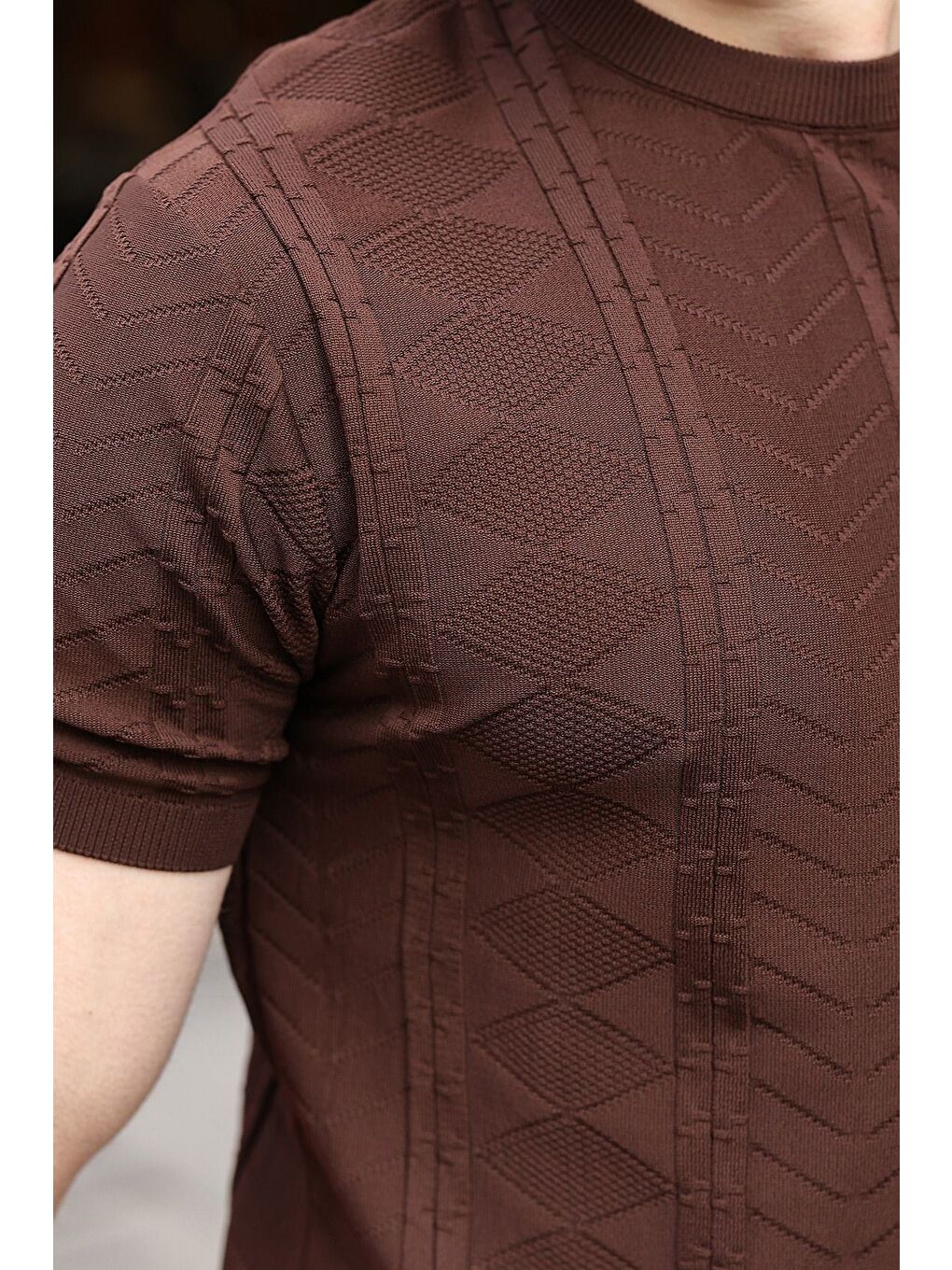 Kahverengi Bisiklet Yaka Slim Fit Triko Erkek Tişört E7466-2