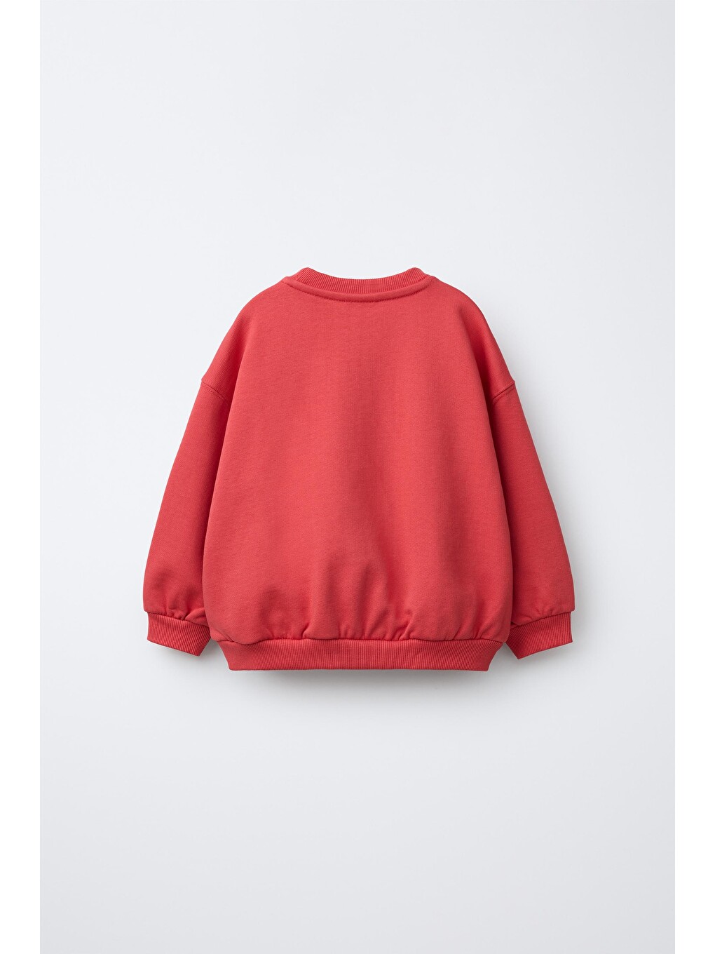 Karışık Çocuk Nakış Detaylı Bisiklet Yaka Sweatshirt-1