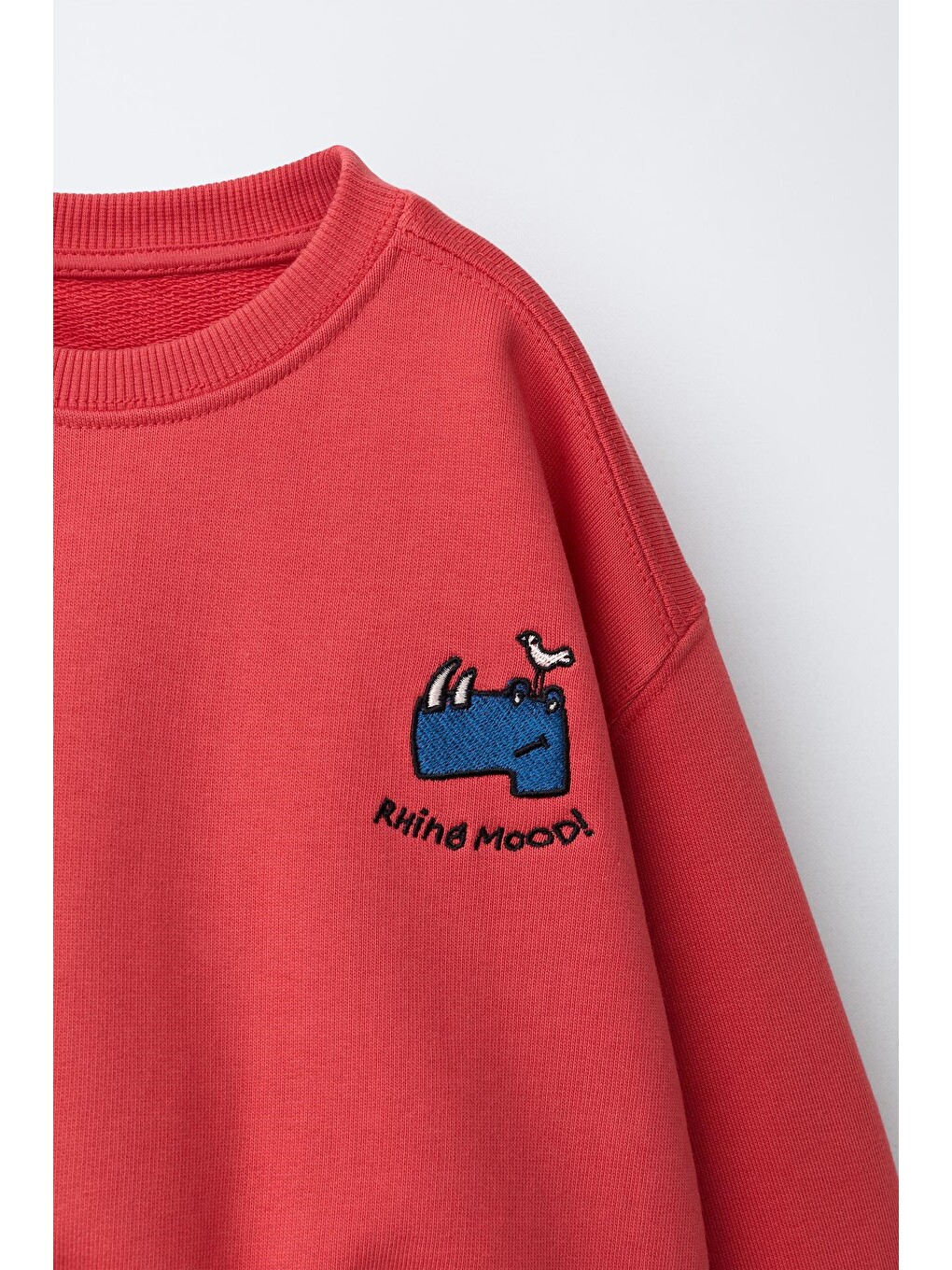 Karışık Çocuk Nakış Detaylı Bisiklet Yaka Sweatshirt-2