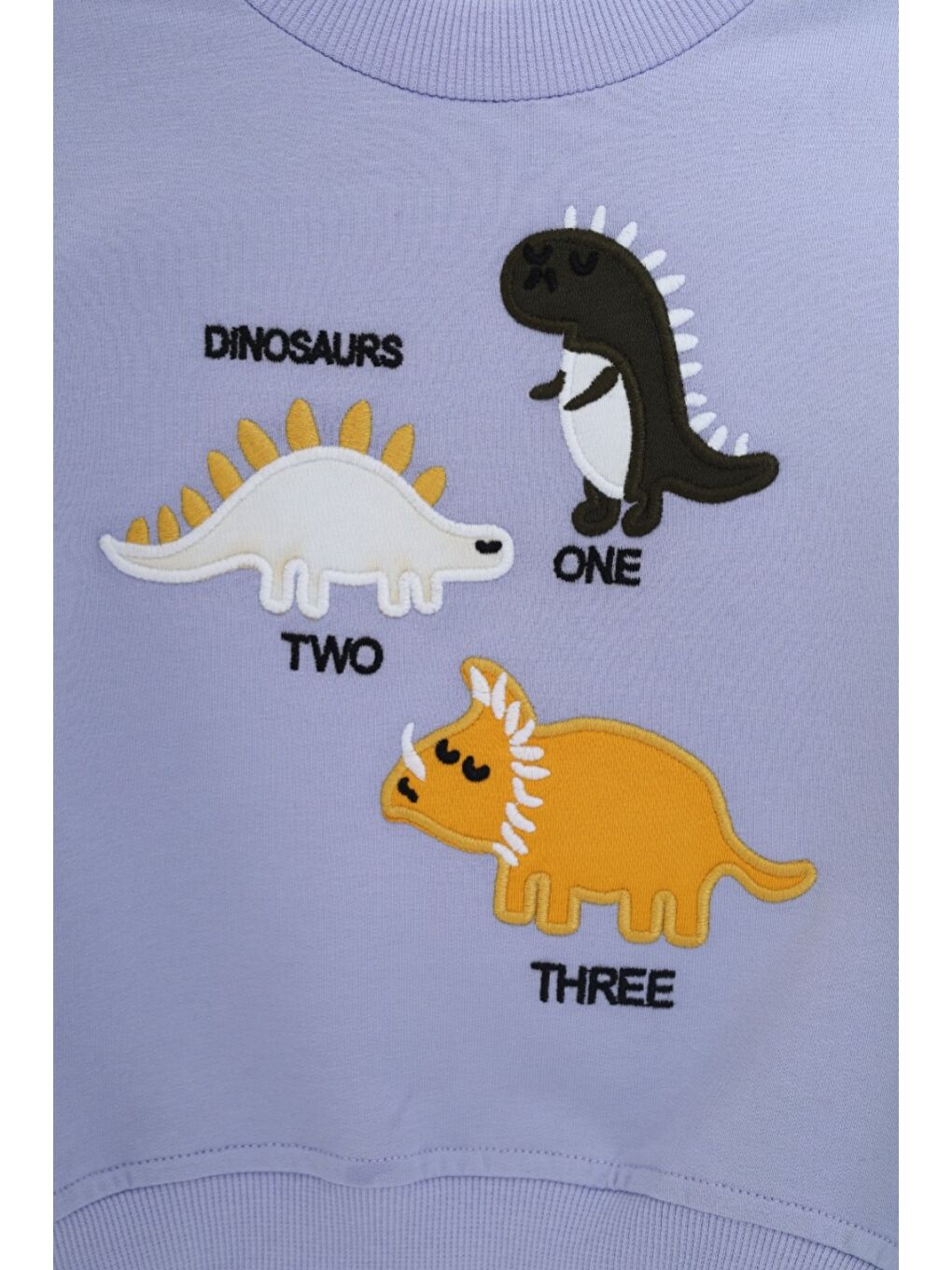 Lila Erkek Çocuk Relax Fit Bisiklet Yaka Hafif Düşük Omuz Nakışlı Sweatshirt-2