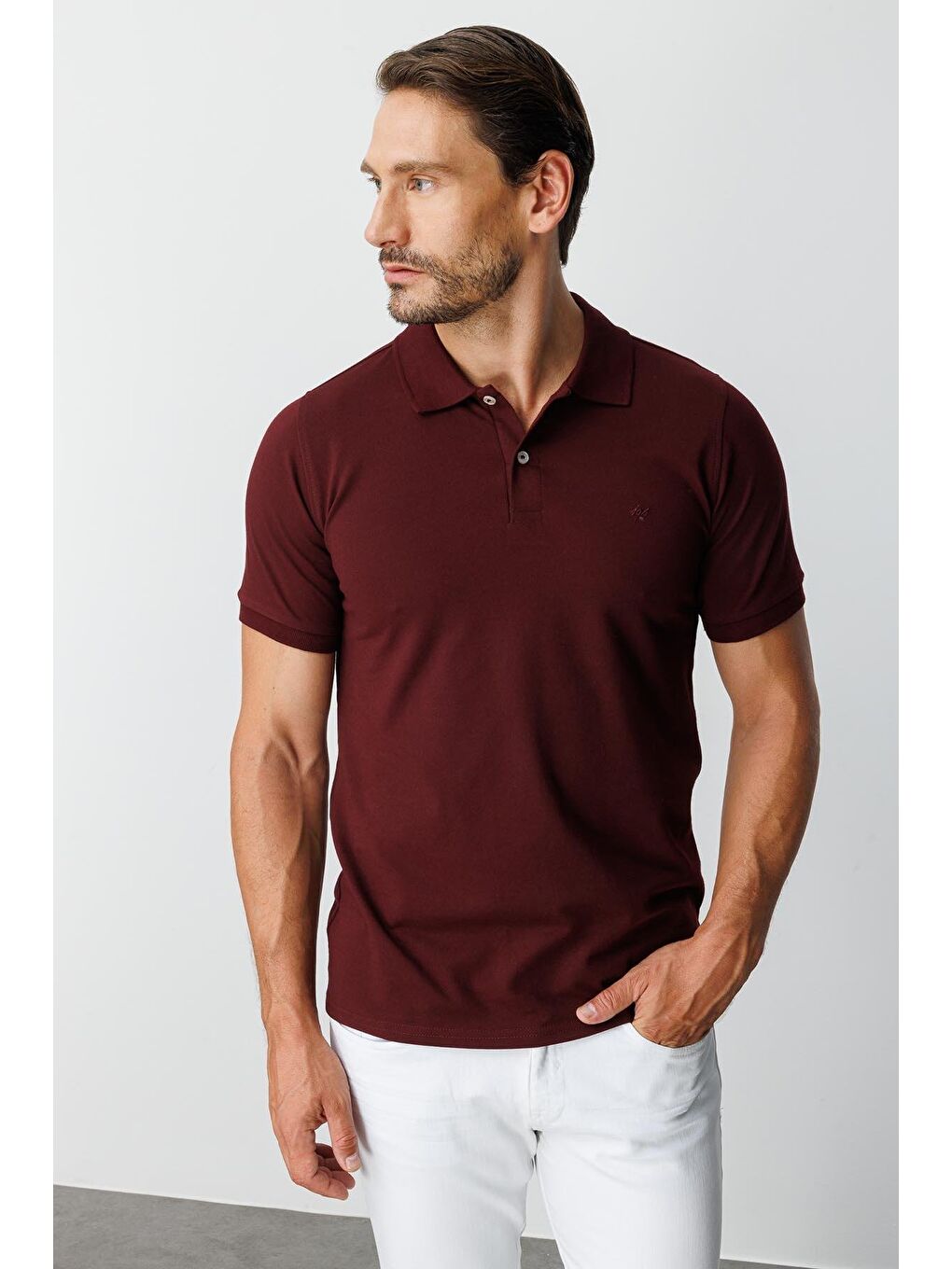 Mor Mürdüm Modern Fit Dar Kalıp Polo Yaka Düz Kısa Kollu Pamuklu Tişört-3