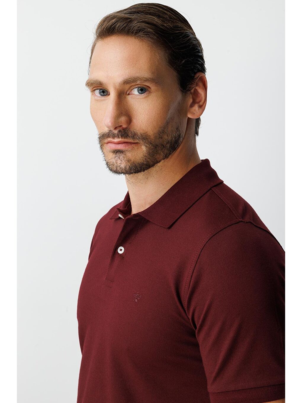 Mor Mürdüm Modern Fit Dar Kalıp Polo Yaka Düz Kısa Kollu Pamuklu Tişört-4