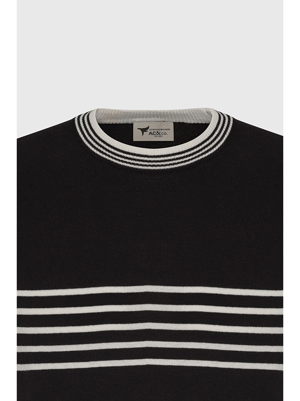 Erkek Siyah-Beyaz Standart Fit Normal Kesim %100 Pamuk Çizgili Bisiklet Yaka Triko Tişört-6