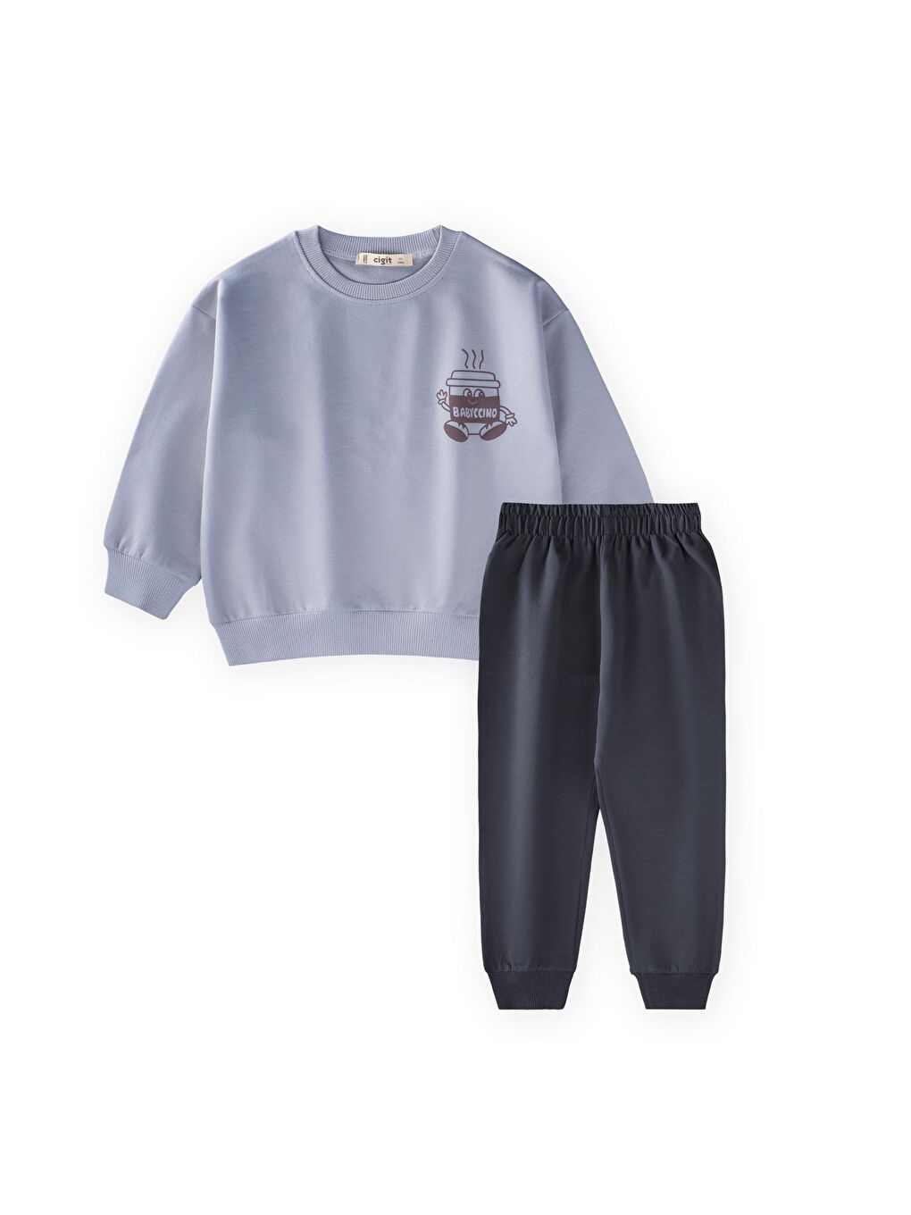 Babyc Chino Baskılı Takım 2-7 Yaş Gri