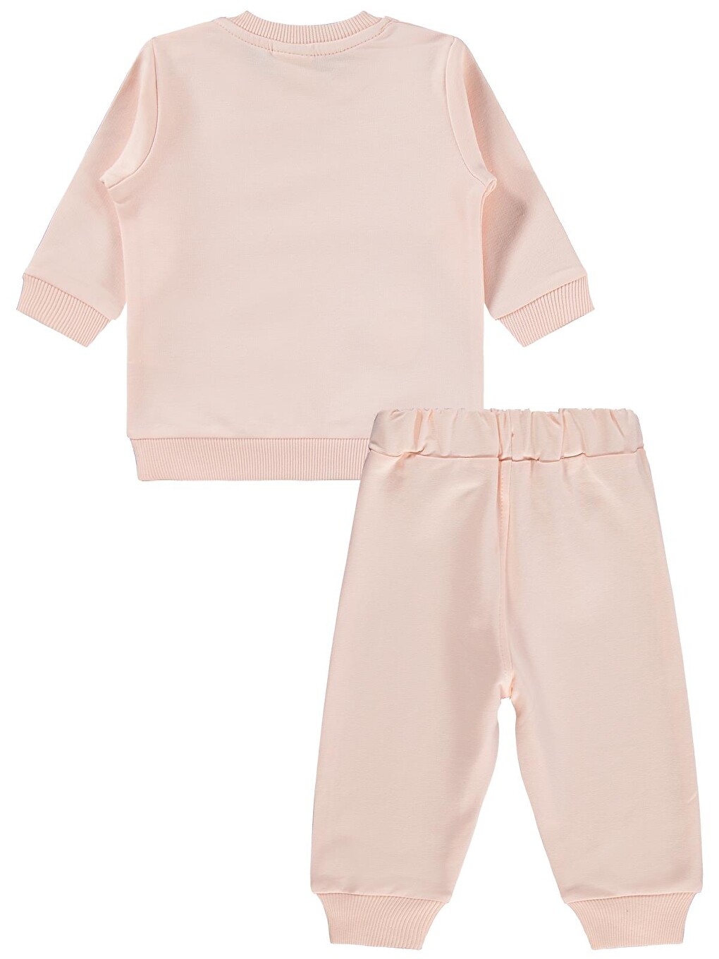 Baby Bereli Ayıcık Baskılı 6-18 Ay Takım - Pembe-2