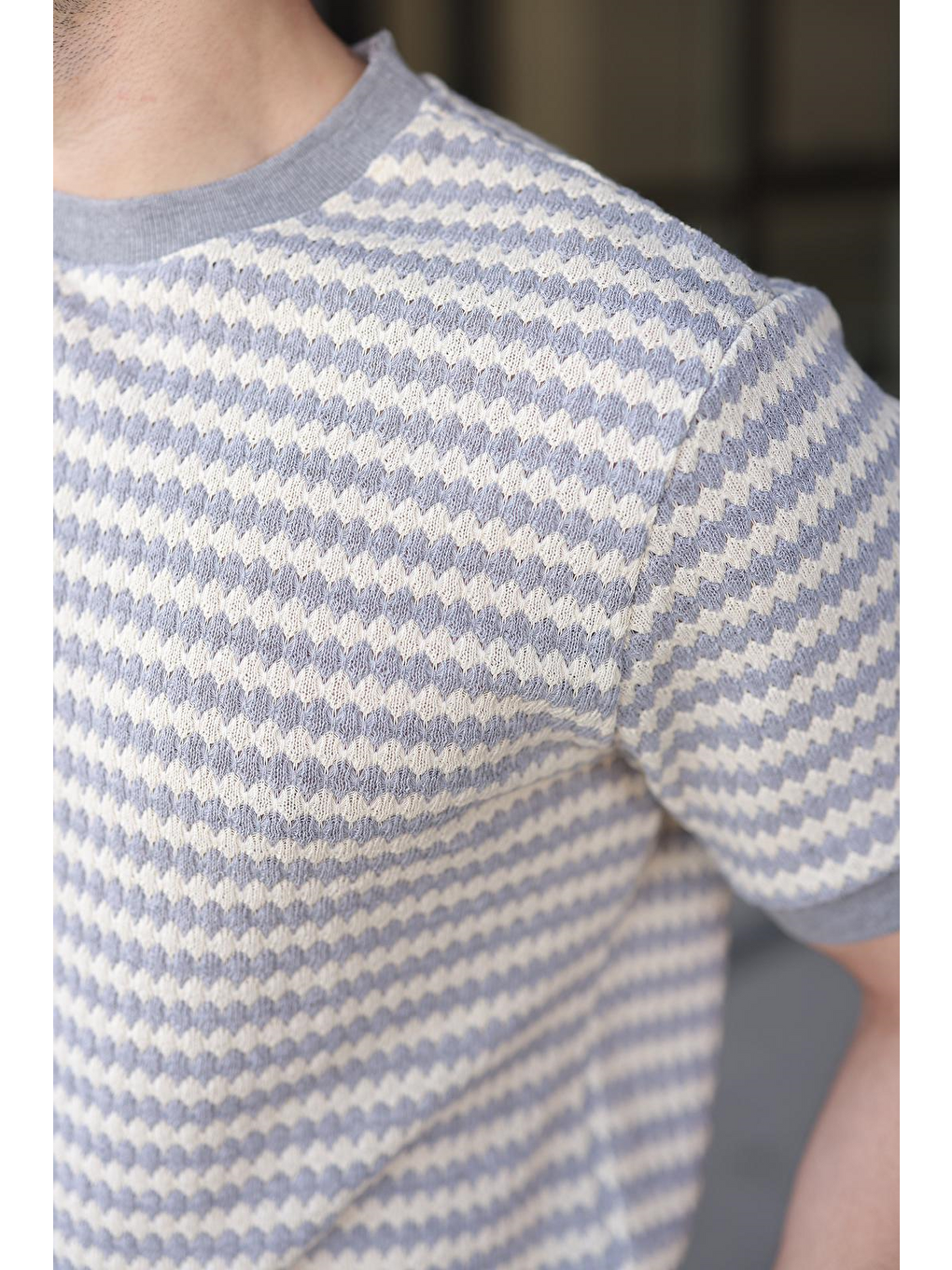 Boyalı Gri Jakarlı Bisiklet Yaka Erkek Tişört E7181-2