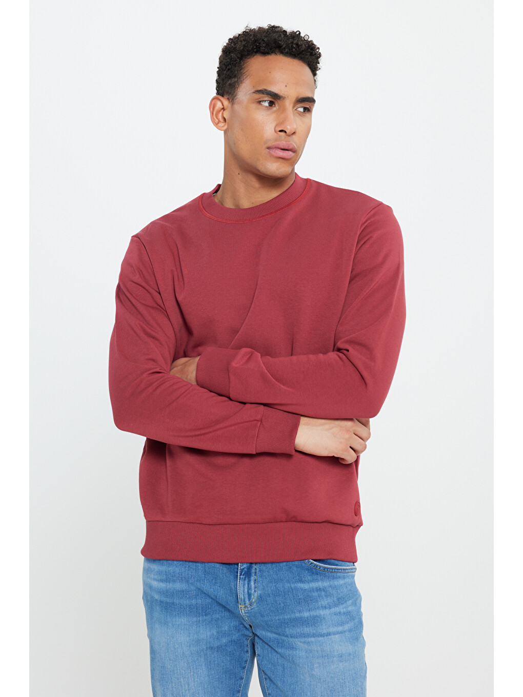 Erkek Bordo Standart Fit Normal Kesim Bisiklet Yaka Pamuklu Sweatshirt-2