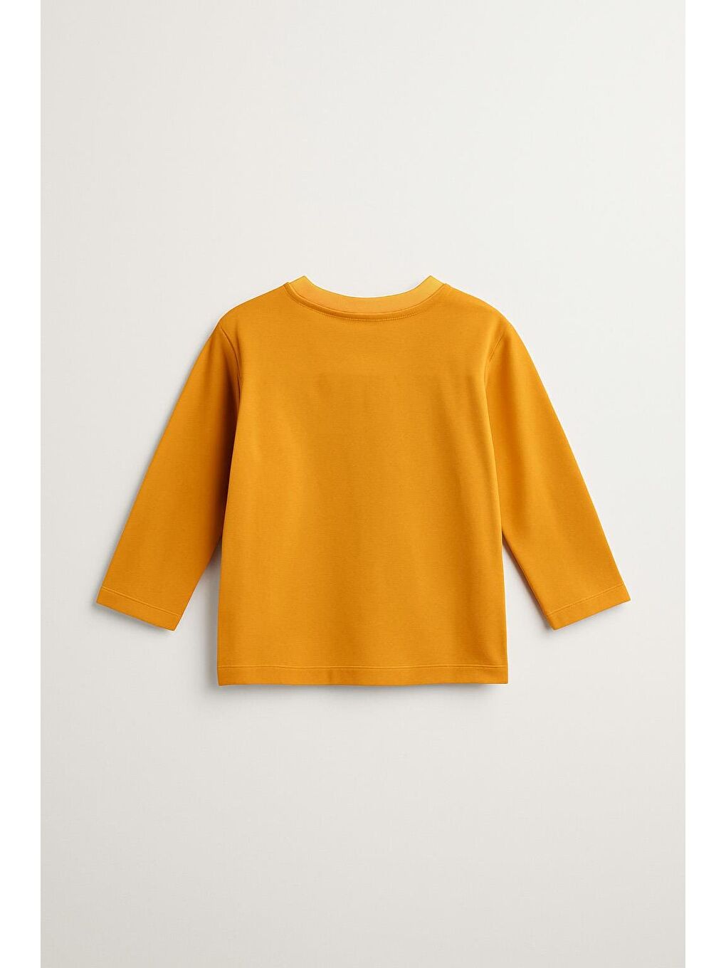 Sarı Erkek Çocuk %100 Pamuk Baskılı Uzun Kollu Tişört - Hardal (3-4 Yaş 8-9 Yaş)-2