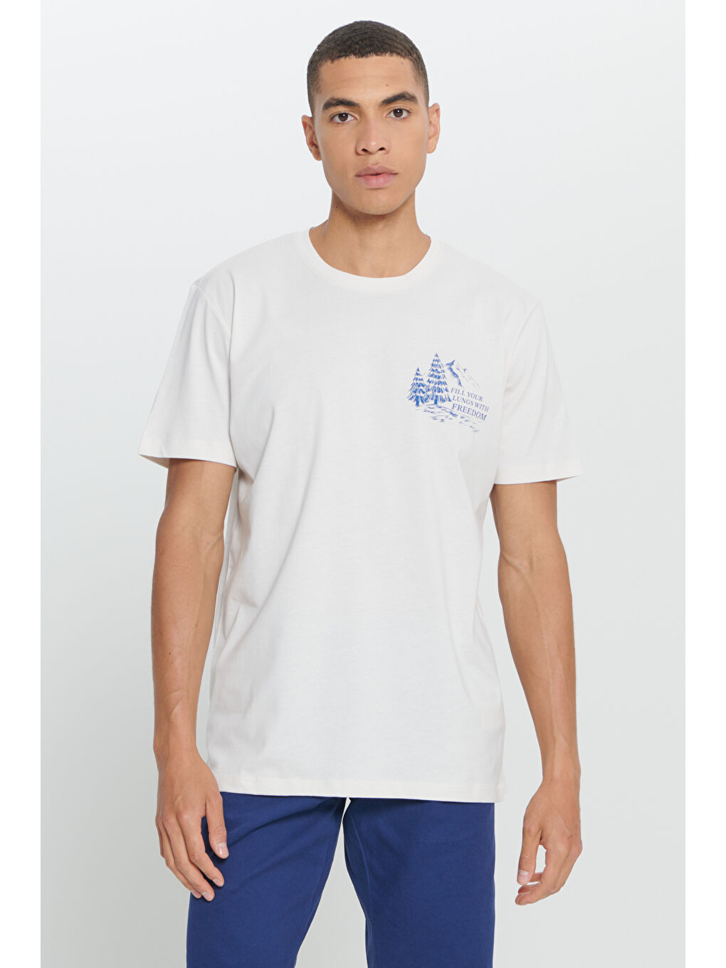 Erkek Açık Gri Standart Fit Normal Kesim %100 Pamuk Bisiklet Yaka Tişört-3