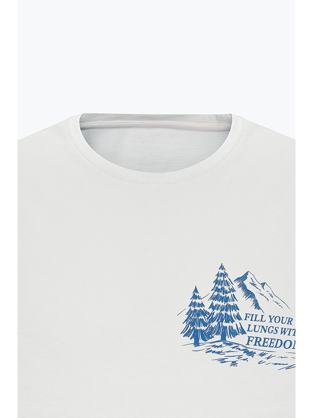 Erkek Açık Gri Standart Fit Normal Kesim %100 Pamuk Bisiklet Yaka Tişört-7