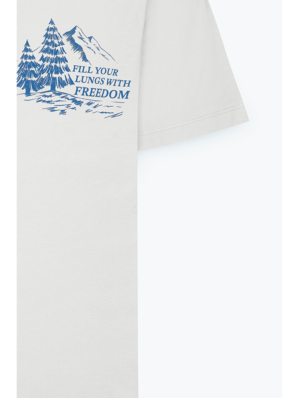 Erkek Açık Gri Standart Fit Normal Kesim %100 Pamuk Bisiklet Yaka Tişört-8