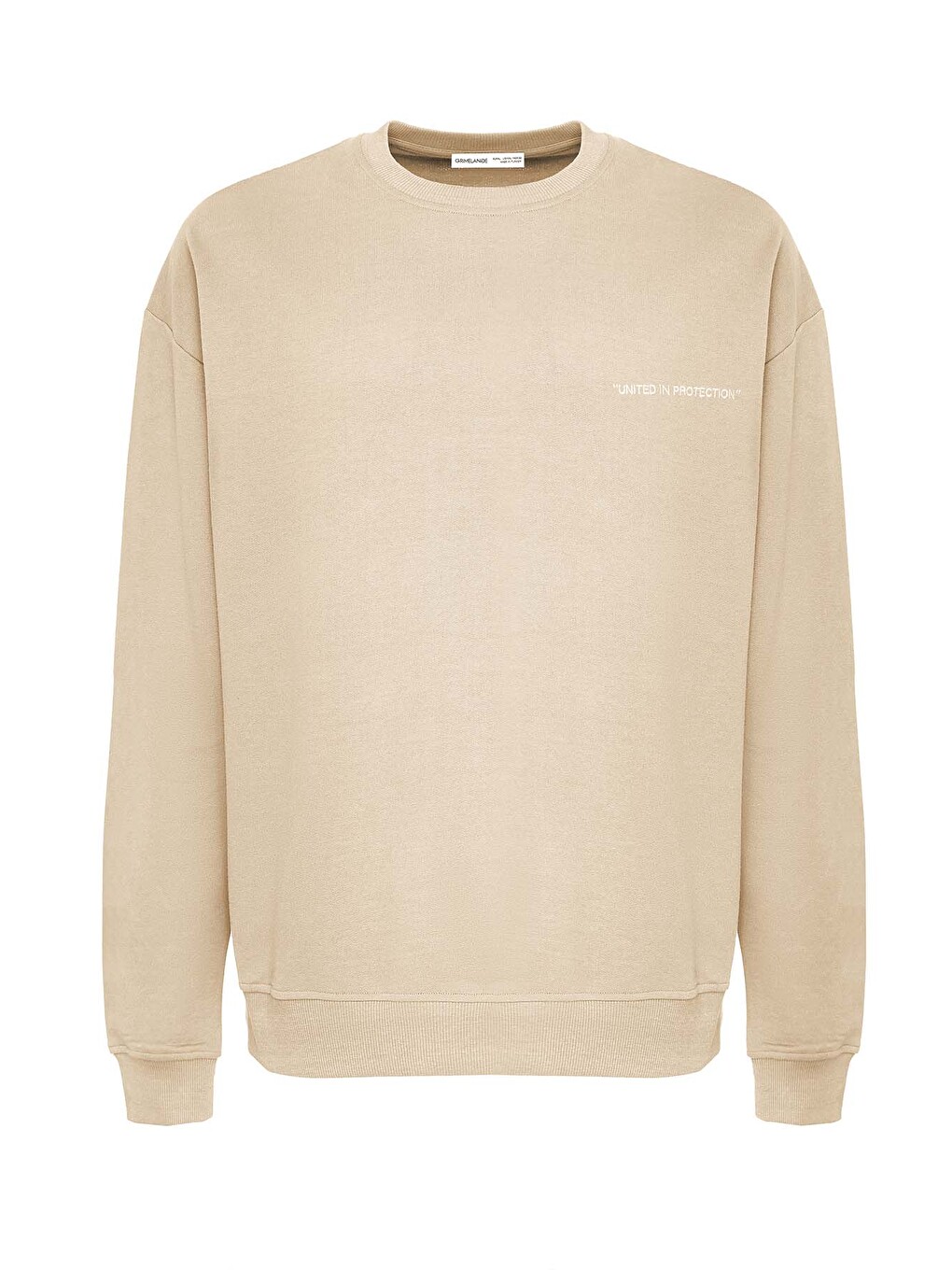 Raırok Erkek İçi Polarlı Comfort Bej Oversize Nakışlı Bej Sweatshirt-3