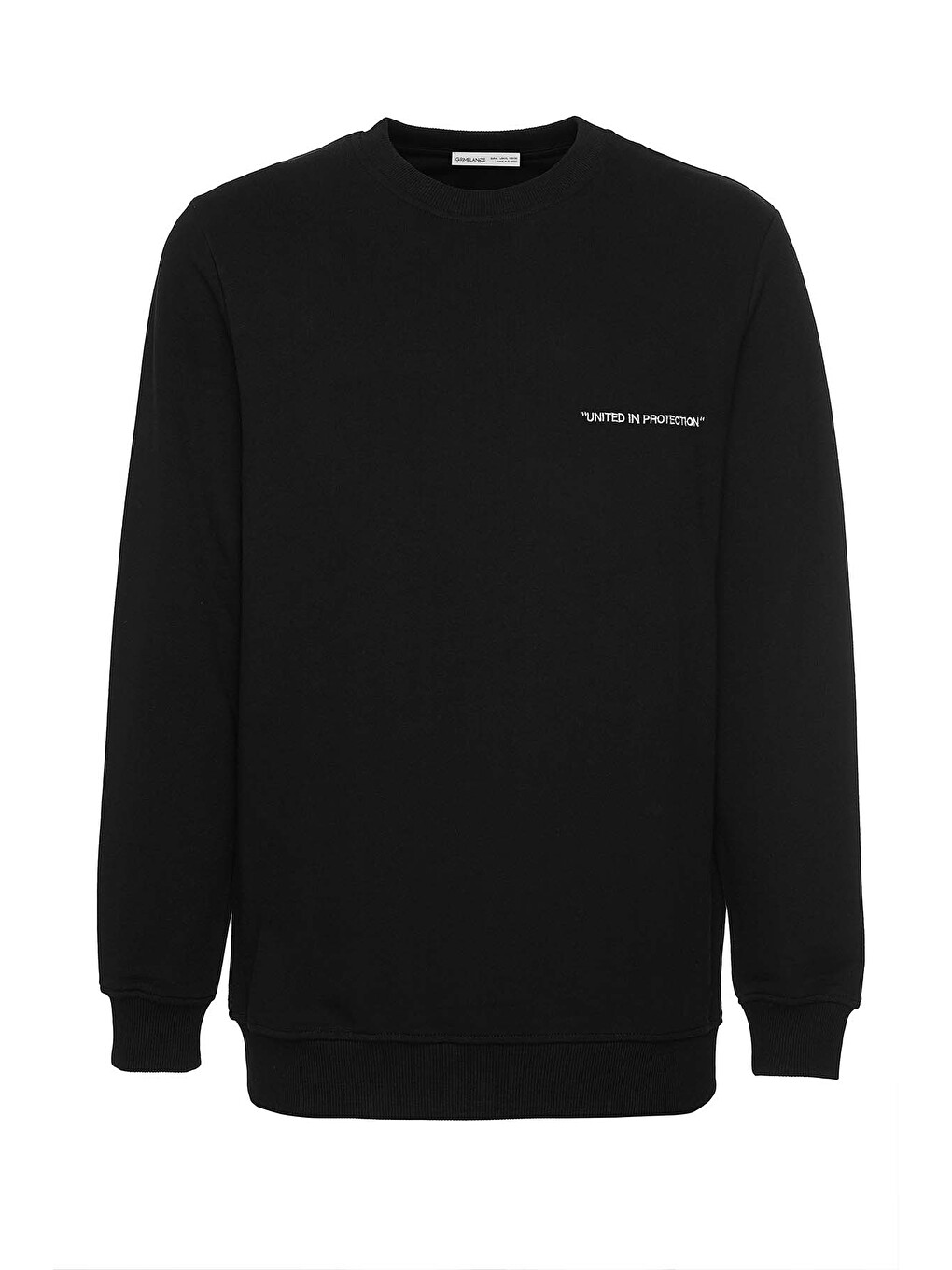 Raırok Erkek İçi Polarlı Comfort Bej Oversize Nakışlı Siyah Sweatshirt-3