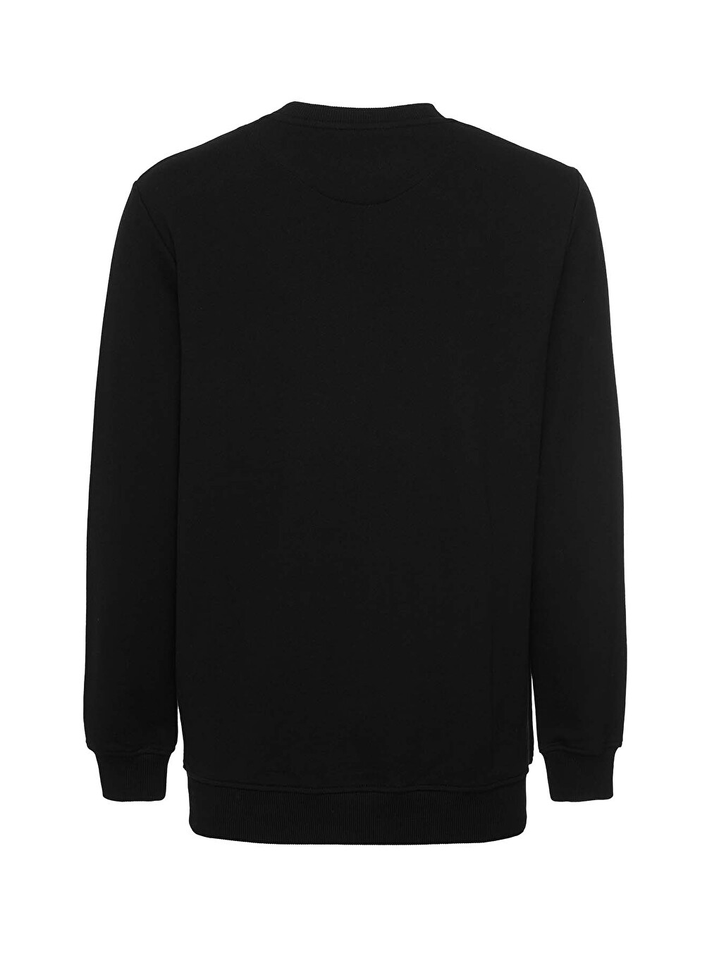 Raırok Erkek İçi Polarlı Comfort Bej Oversize Nakışlı Siyah Sweatshirt-4
