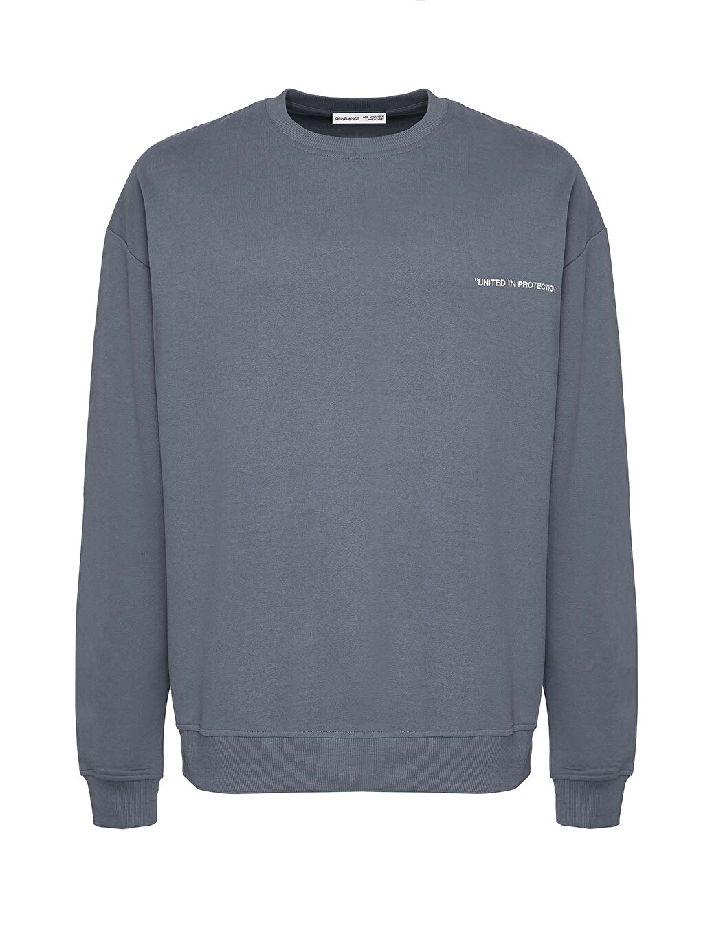 Raırok Erkek İçi Polarlı Comfort Bej Oversize Nakışlı Koyu Gri Sweatshirt-3