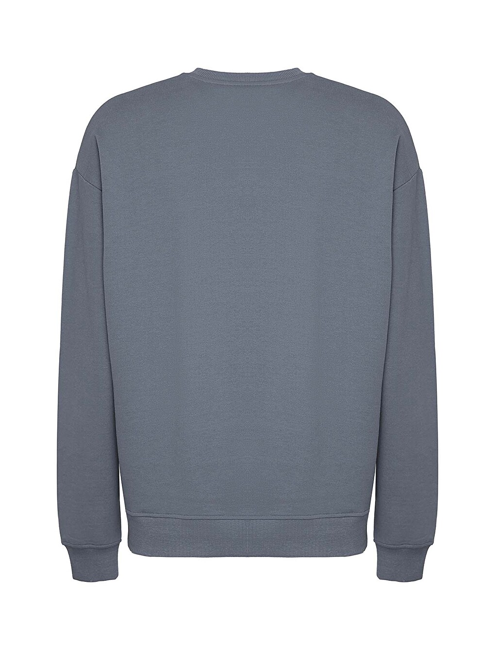 Raırok Erkek İçi Polarlı Comfort Bej Oversize Nakışlı Koyu Gri Sweatshirt-4