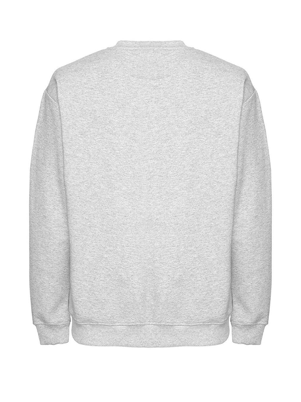 Raırok Erkek İçi Polarlı Comfort Bej Oversize Nakışlı Gri Melanj Sweatshirt-4