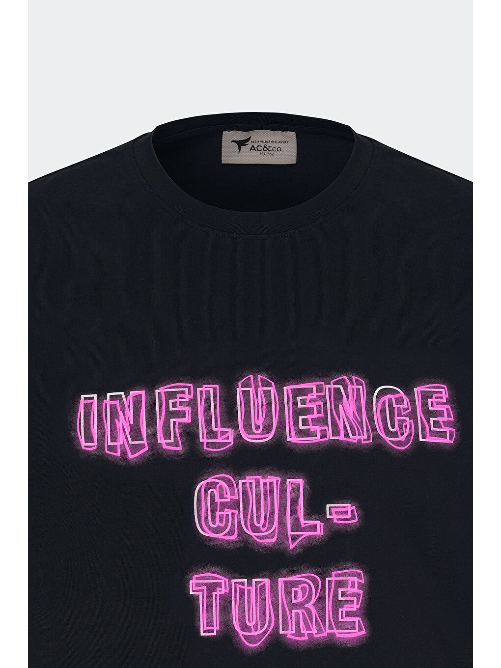 Erkek Siyah Standart Fit Normal Kesim %100 Pamuk Bisiklet Yaka Tişört-7