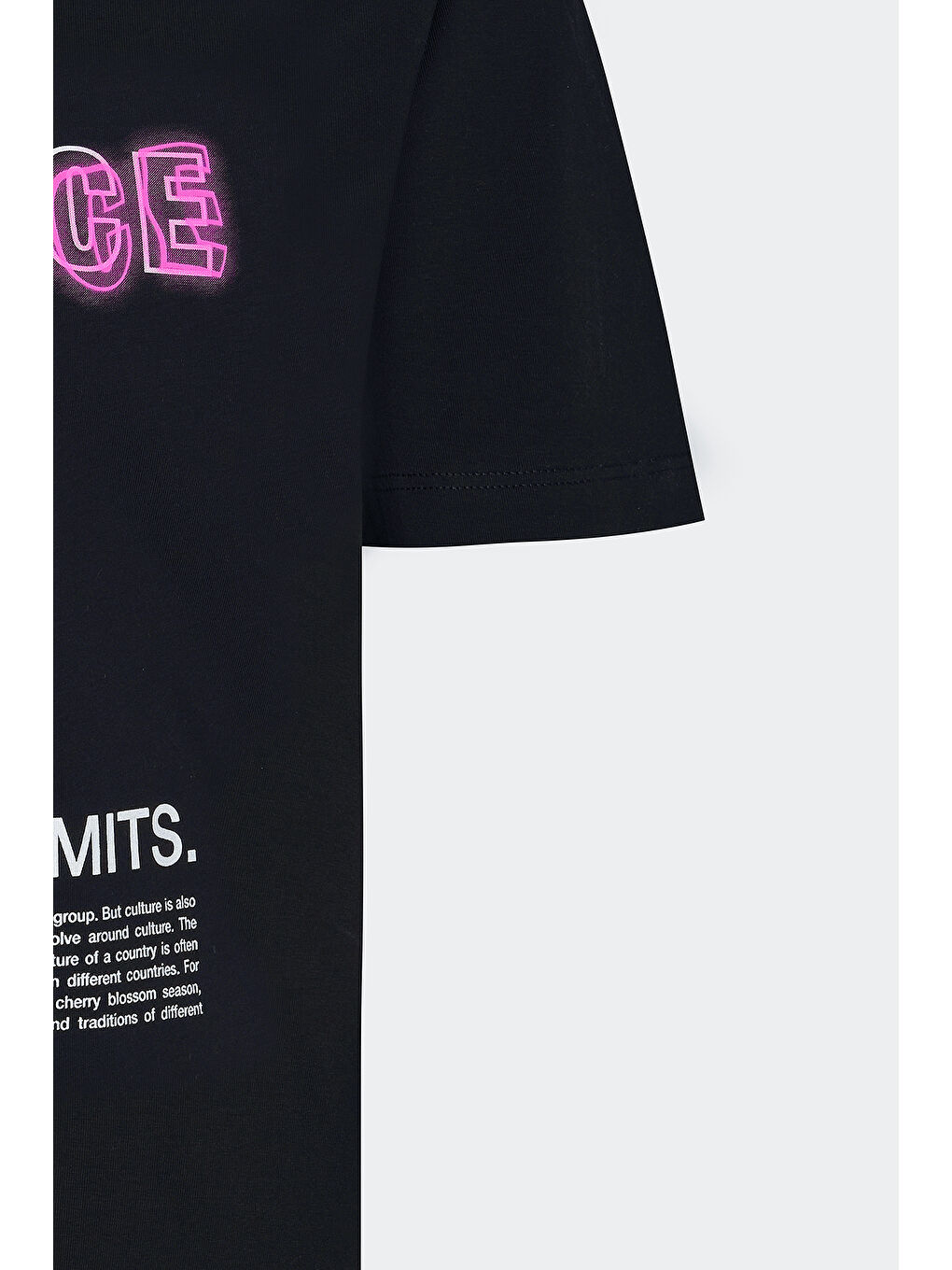 Erkek Siyah Standart Fit Normal Kesim %100 Pamuk Bisiklet Yaka Tişört-8