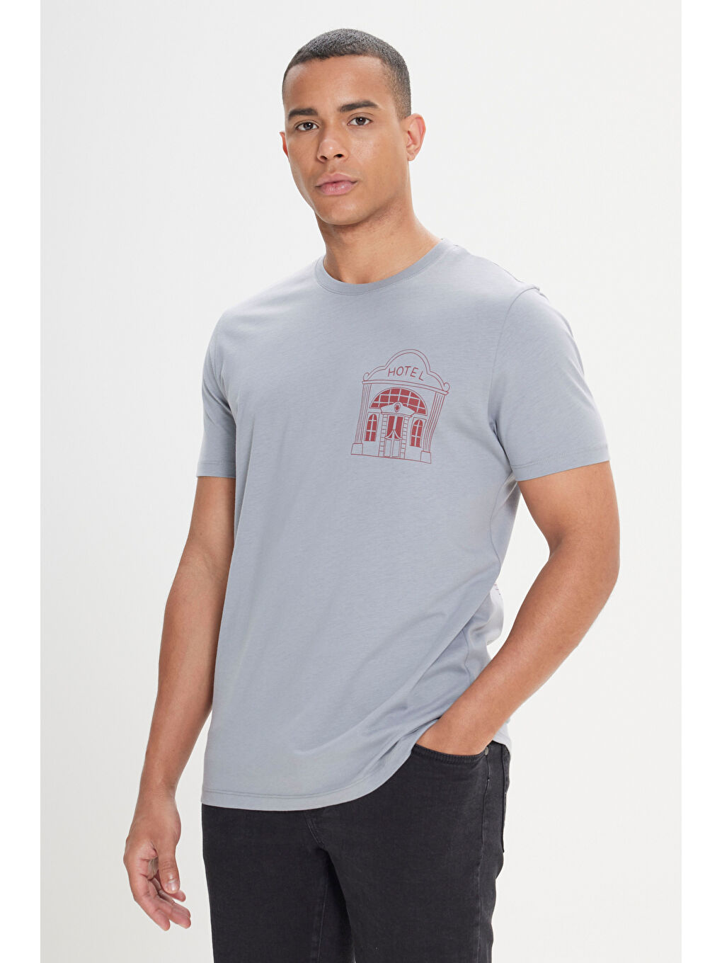 Erkek Gri Standart Fit Normal Kesim %100 Pamuk Baskılı Bisiklet Yaka Tişört