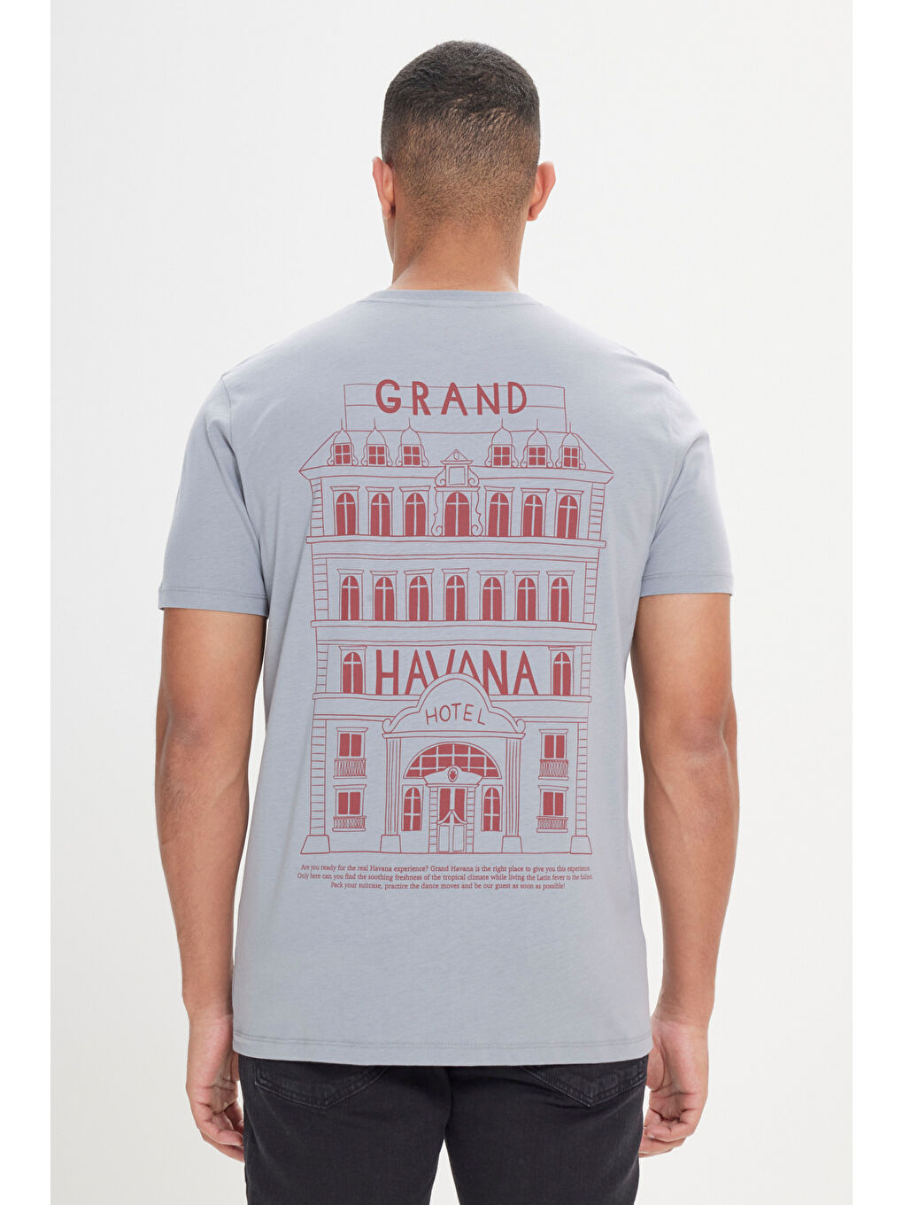 Erkek Gri Standart Fit Normal Kesim %100 Pamuk Baskılı Bisiklet Yaka Tişört-1