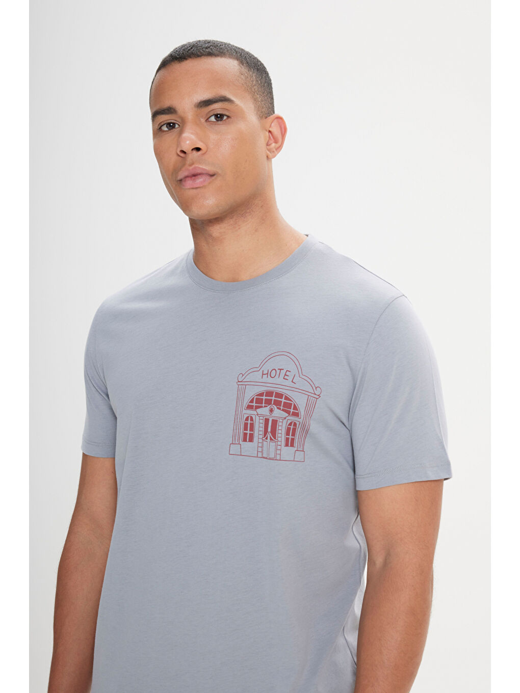 Erkek Gri Standart Fit Normal Kesim %100 Pamuk Baskılı Bisiklet Yaka Tişört-3