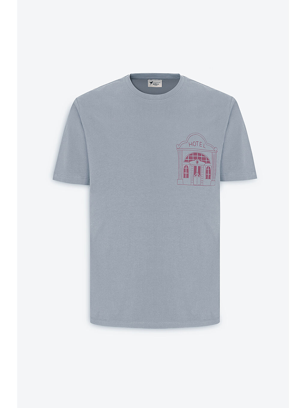 Erkek Gri Standart Fit Normal Kesim %100 Pamuk Baskılı Bisiklet Yaka Tişört-4