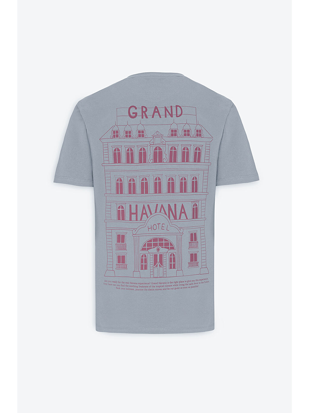 Erkek Gri Standart Fit Normal Kesim %100 Pamuk Baskılı Bisiklet Yaka Tişört-5