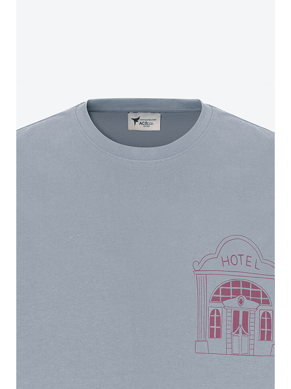 Erkek Gri Standart Fit Normal Kesim %100 Pamuk Baskılı Bisiklet Yaka Tişört-6