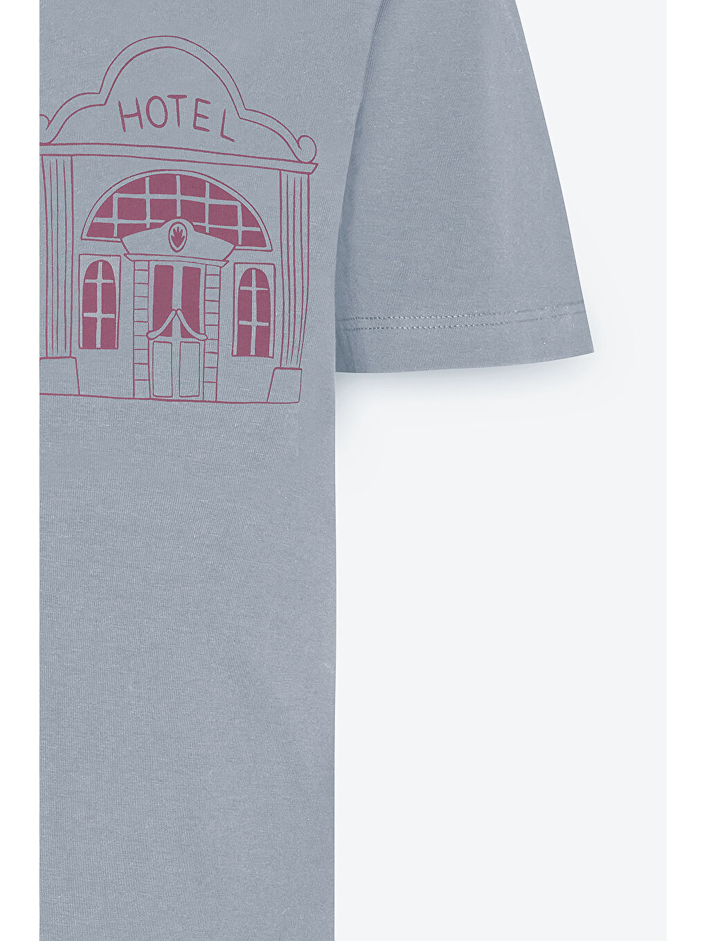 Erkek Gri Standart Fit Normal Kesim %100 Pamuk Baskılı Bisiklet Yaka Tişört-7