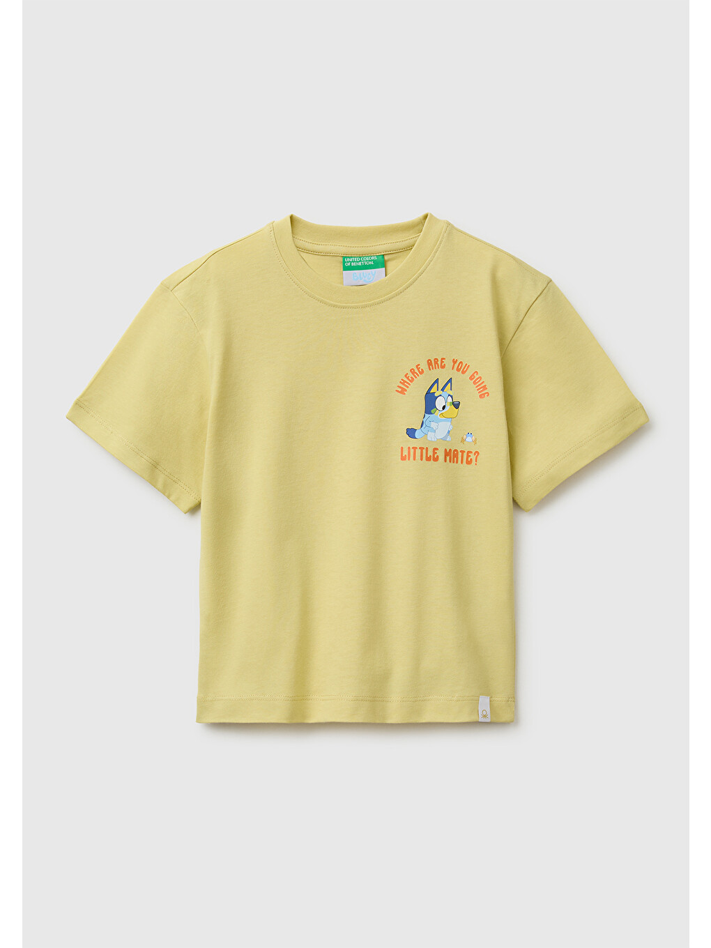 Erkek Bebek Sarı Bluey Baskı Detaylı Yuvarlak Yaka T-Shirt