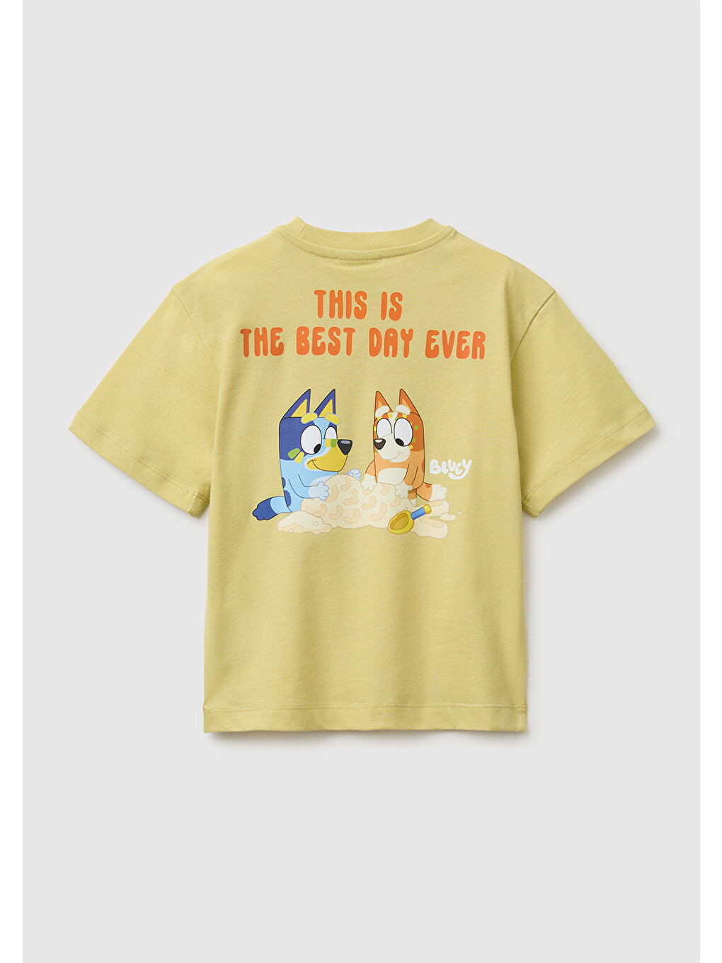 Erkek Bebek Sarı Bluey Baskı Detaylı Yuvarlak Yaka T-Shirt-1