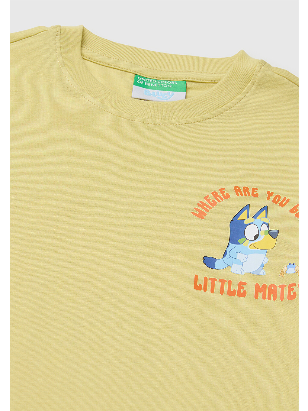 Erkek Bebek Sarı Bluey Baskı Detaylı Yuvarlak Yaka T-Shirt-2