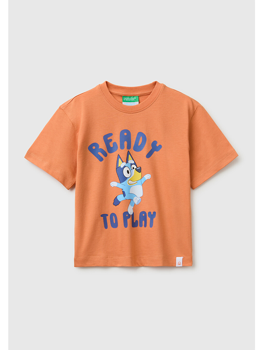 Erkek Bebek Turuncu Bluey Baskı Detaylı Yuvarlak Yaka T-Shirt