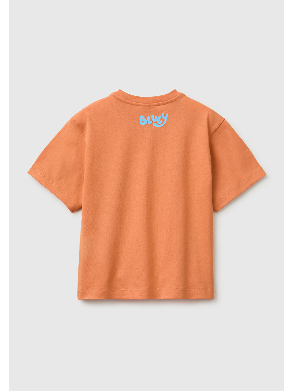 Erkek Bebek Turuncu Bluey Baskı Detaylı Yuvarlak Yaka T-Shirt-1